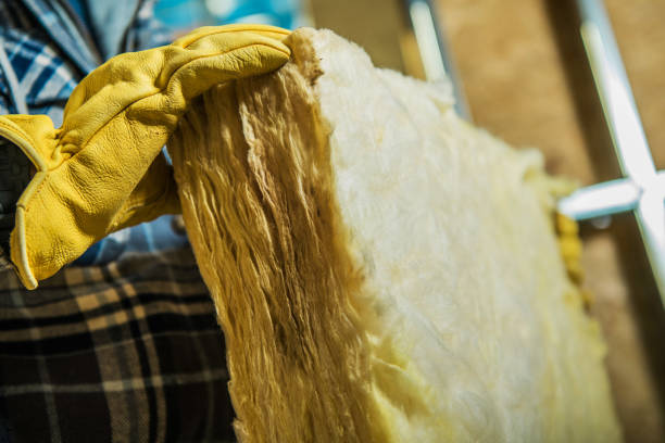 Best Eco-Friendly Insulation in Hayden, ID